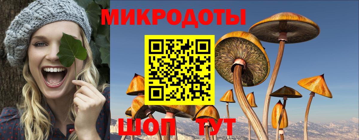 Пенза  Галлюциногенные грибы Psilocybine cubensis  Галлюциногенные грибы мицелий  Вход с VPN 